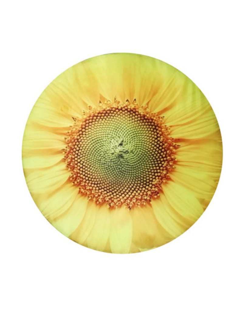 Cuscino Fresh Sunflower