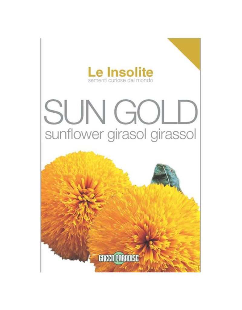 Sonnenblume Sonne Gold