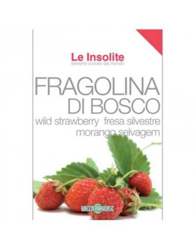 Fragolina di Bosco