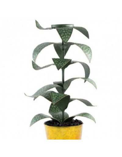 Portavelas vegetal 80 cm