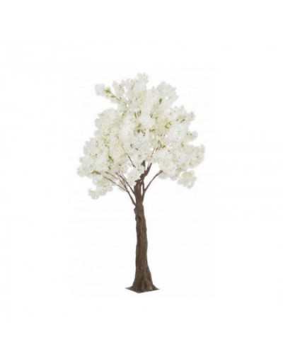 Albero Begonia Bianco H240 S