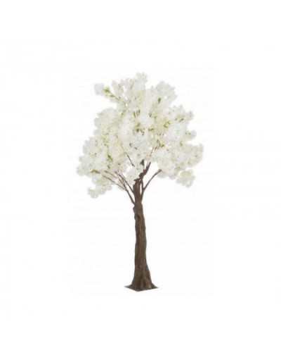 Biała Begonia H240 S