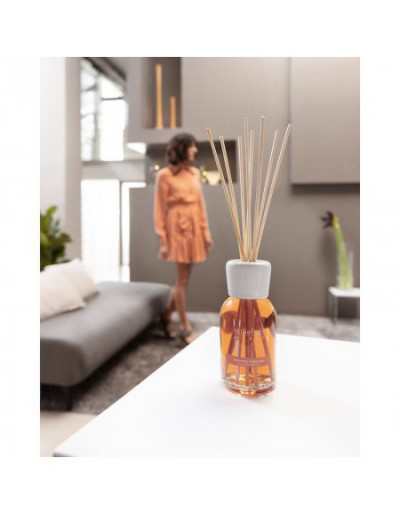 Fragrance Diffuser Sticks...