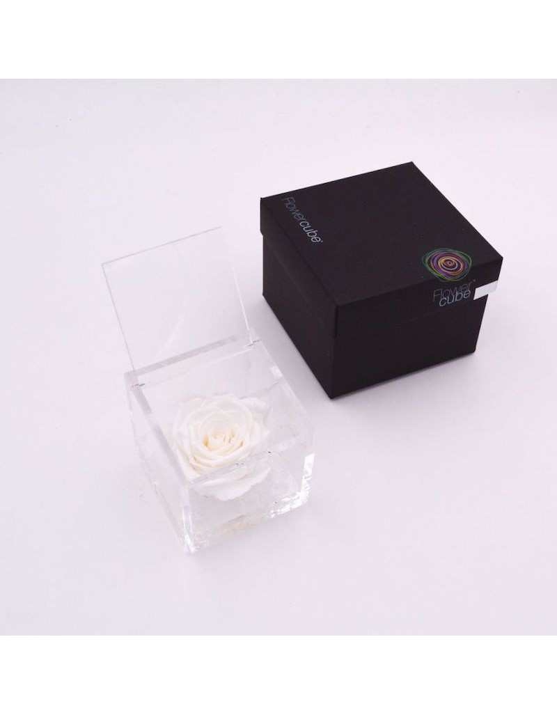 Flowercube 8 x 8 Estabilizado Rosa Blanco