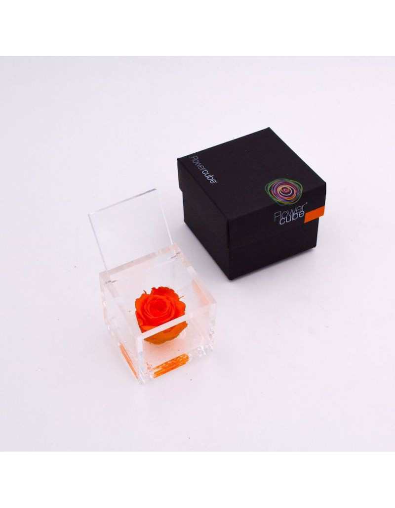 Flowercube 10 x 10 Gestabiliseerde Oranje Roos
