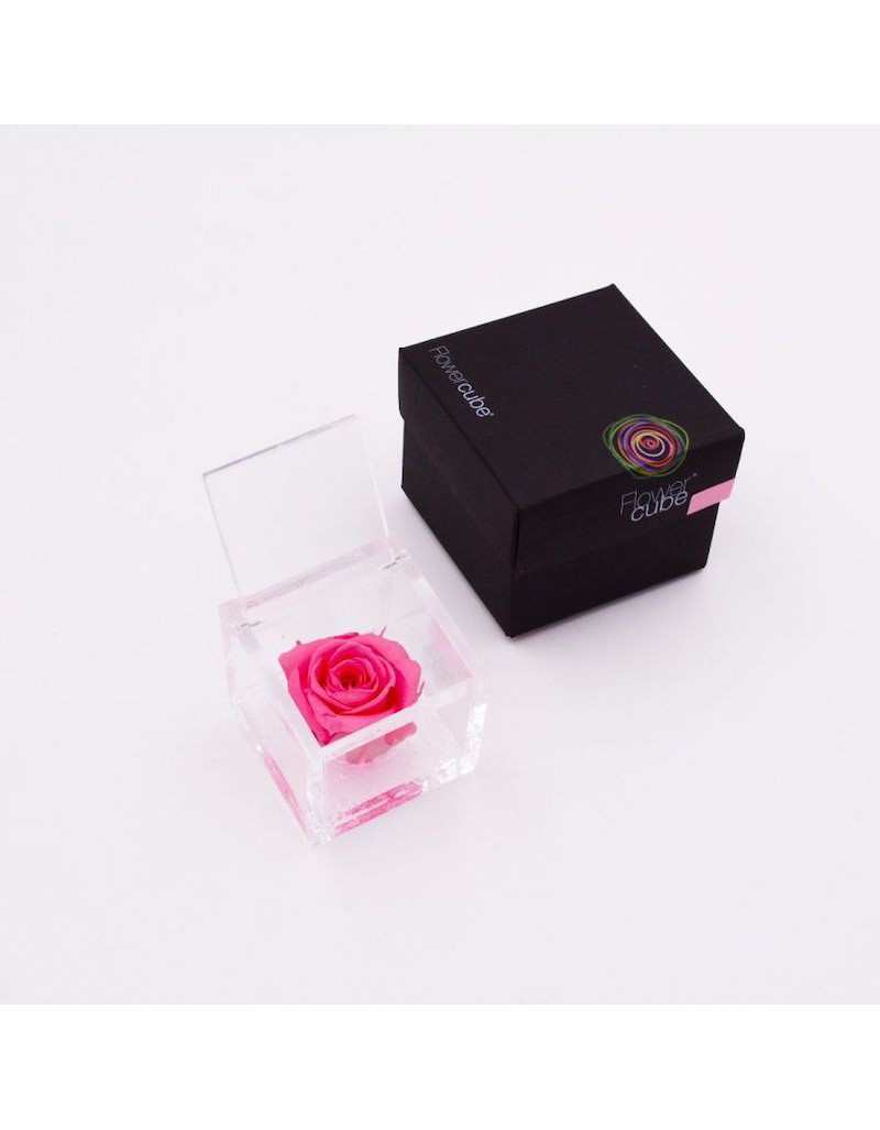 Flowercube 10 x 10 Geconserveerde Roos Rosa