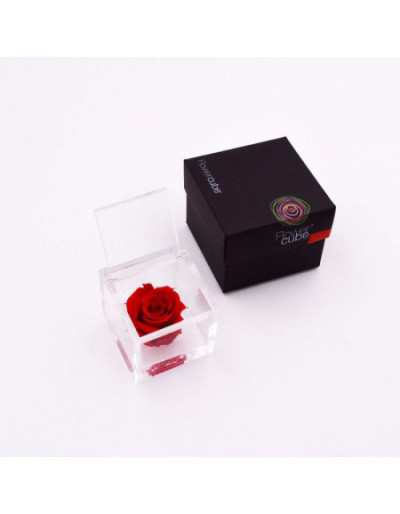 FlowerCube 10 x 10 Czerwona Stabilizowana Róża