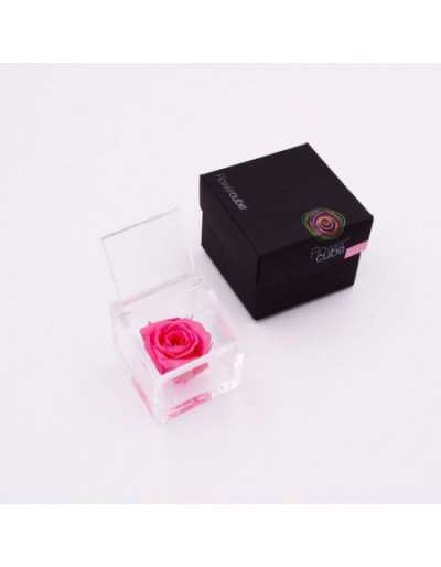 Cubo de Flores 12 x 12 Rosa Rosa Preservada