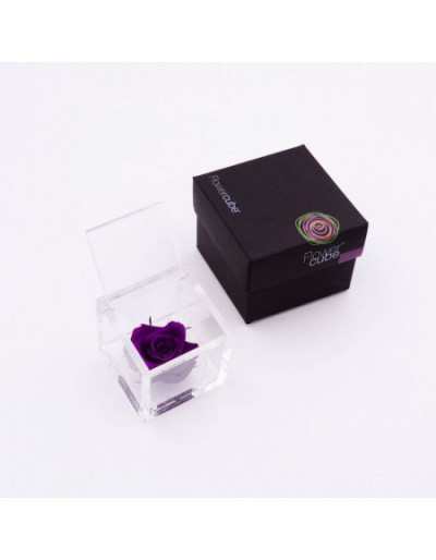 Flowercube 12 x 12 Stabilized Purple Rose