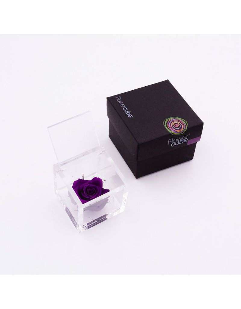 Flowercube 12 x 12 Rosa Stabilizzata Viola