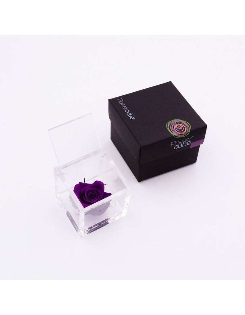 Flowercube 12 x 12 Stabilized Purple Rose