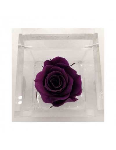 Cubo de flores 12 x 12 rosa...