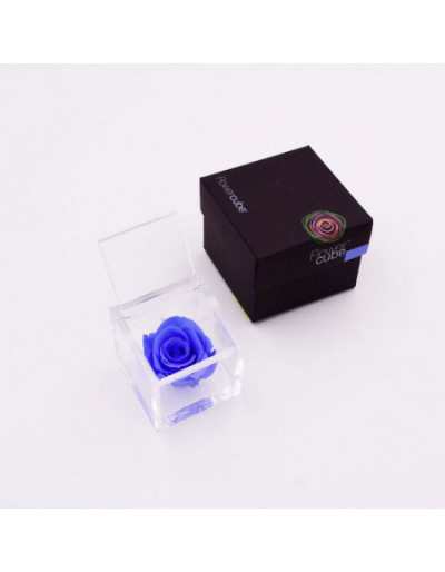 Flowercube 12 x 12 Rosa Stabilizzata Azzurra