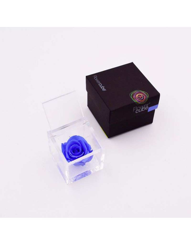 FlowerCube 12 x 12 Stabilizowana jasnoniebieska róża