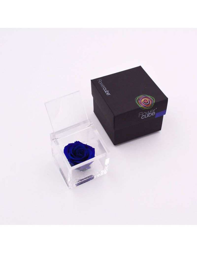 Flowercube 12 x 12 Stabilized Rose Blue Flowercube 12 x 12 Stabilized Rose Blue