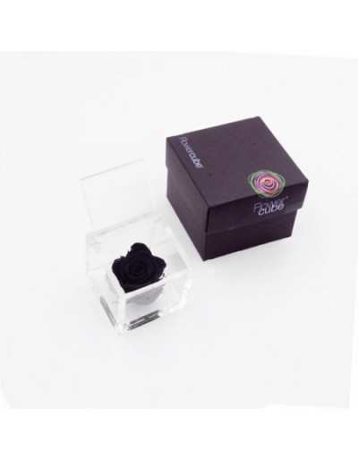 Flowercube 12 x 12 Rosa Stabilizzata Nera