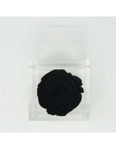 Flowercube 12 x 12 Negro...