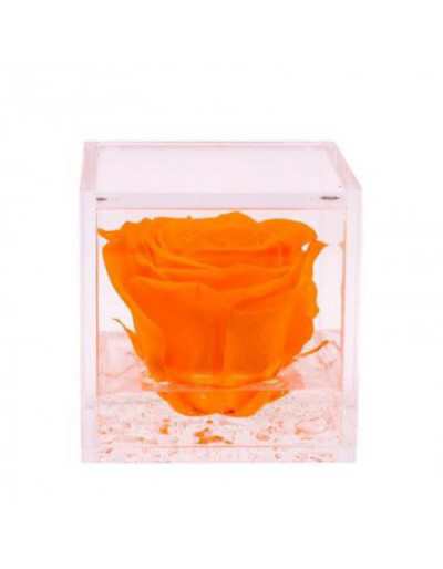 Mini Cubo de Flores 4,5 x 4,5 Rosa estabilizada com aroma de laranja
