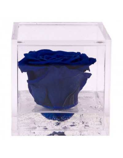 Mini Flowercube 4.5 x 4.5 Rosa Stabilizzata Profumata Blu
