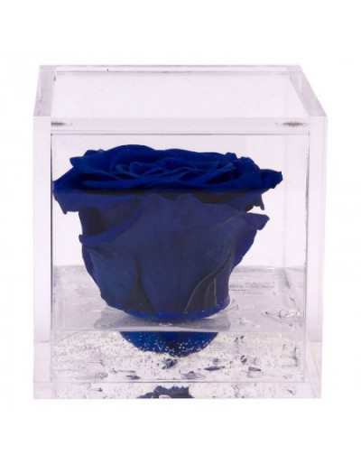 Mini Flowercube 4,5 x 4,5 Blaue parfümierte stabilisierte Rose