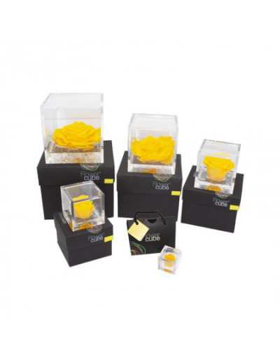 Mini FlowerCube 4,5 x 4,5 Żółta pachnąca stabilizowana róża