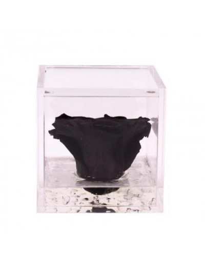 Mini Flowercube 4.5 x 4.5 Black Scented Stabilized Rose