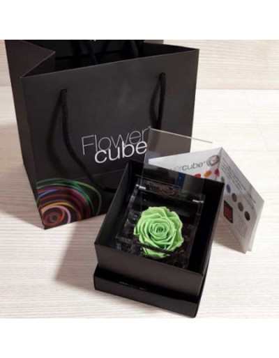 Mini Flowercube 4.5 x 4.5 Green Perfumed Stabilized Rose