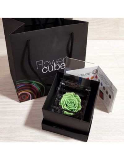 Mini Flowercube 4,5 x 4,5 Verde Rosa Estabilizada Perfumada