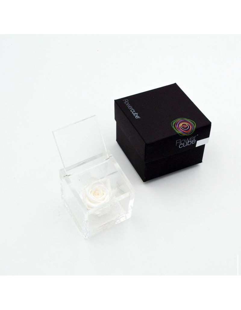 Flowercube 6 x 6... Flowercube 6 x 6...