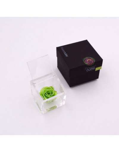 Cubo de Flores 8 x 8 Rosa...