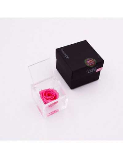 Cubo de Flores 8 x 8 Rosa...