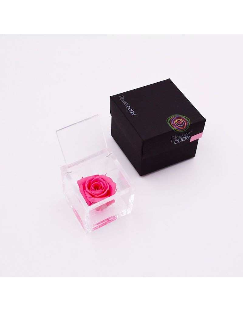Flowercube 8 x 8 Rosa... Flowercube 8 x 8 Rosa...