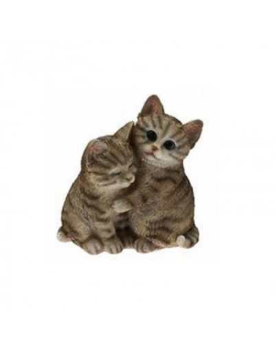 Kittens verliefd