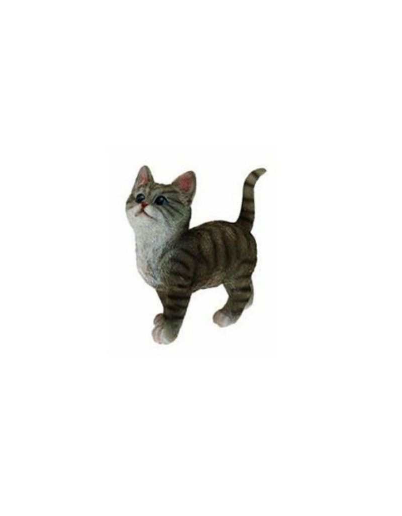 Chicco cat Chicco cat
