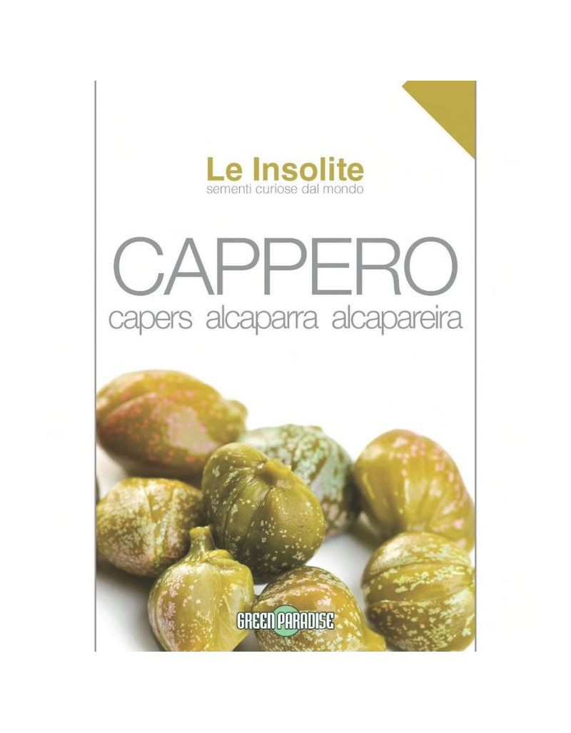 Graines en sachet Le Insolite - Caper