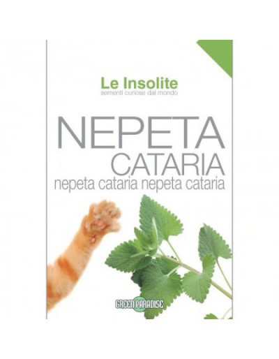 Zaden in Zak Le Insolite - Nepeta Cataria