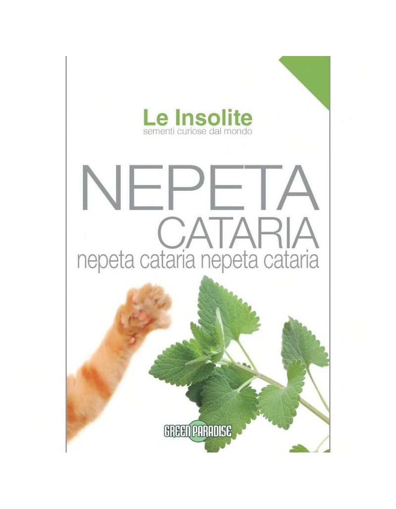 Nasiona w Torbie Le Insolite - Nepeta Cataria Nasiona w Torbie Le Insolite - Nepeta Cataria