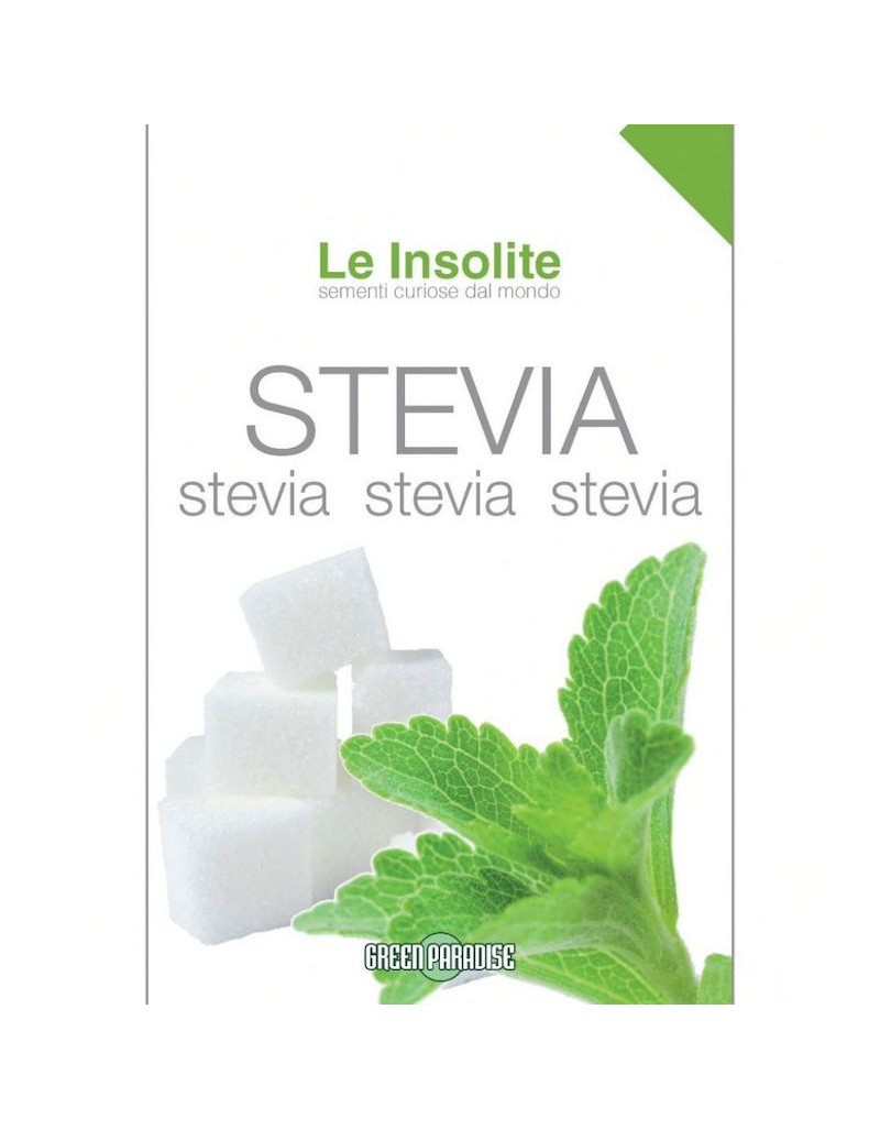 Nasiona w torbie Le Insolite - Stevia Rebaudiana Nasiona w torbie Le Insolite - Stevia Rebaudiana