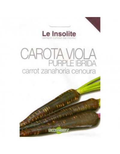 Zaden in Zak Le Insolite - Purple Hybrid Purple Carrot