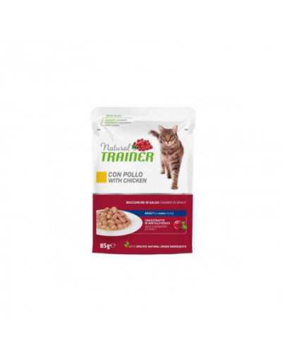 NATURAL CAT VOLWASSEN MET KIP 85GR