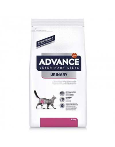 FLASH ADV KATZE URIN 1