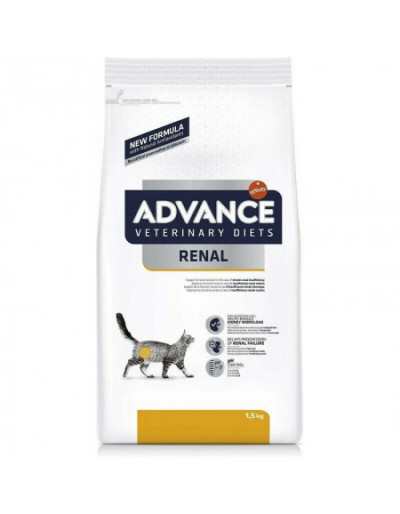 FLASH ADV CAT RENAL KG 1