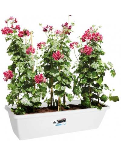 BARCELONA PLANTENBAK XL 60CM WIT