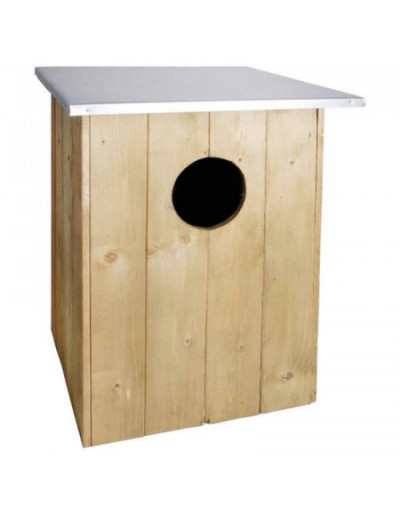 Nest for Allocco