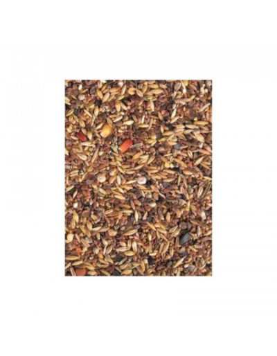 Winter Seeds Grain Mix for Birds 1 Kg