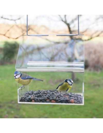 Transparent Hanging House Bird Feeder