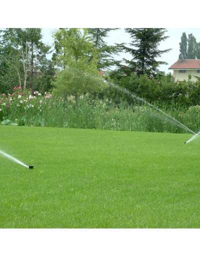 Automated irrigation