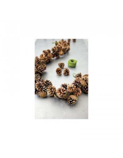 Baby Pine Cones Decorative