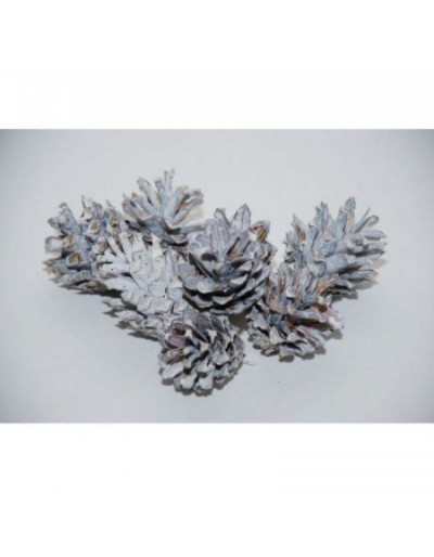 Pinecone Silvester 200gr Vit