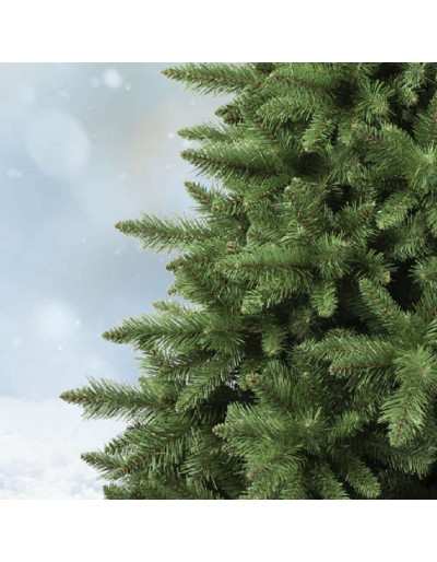 Perseus Evergreen Christmas tree